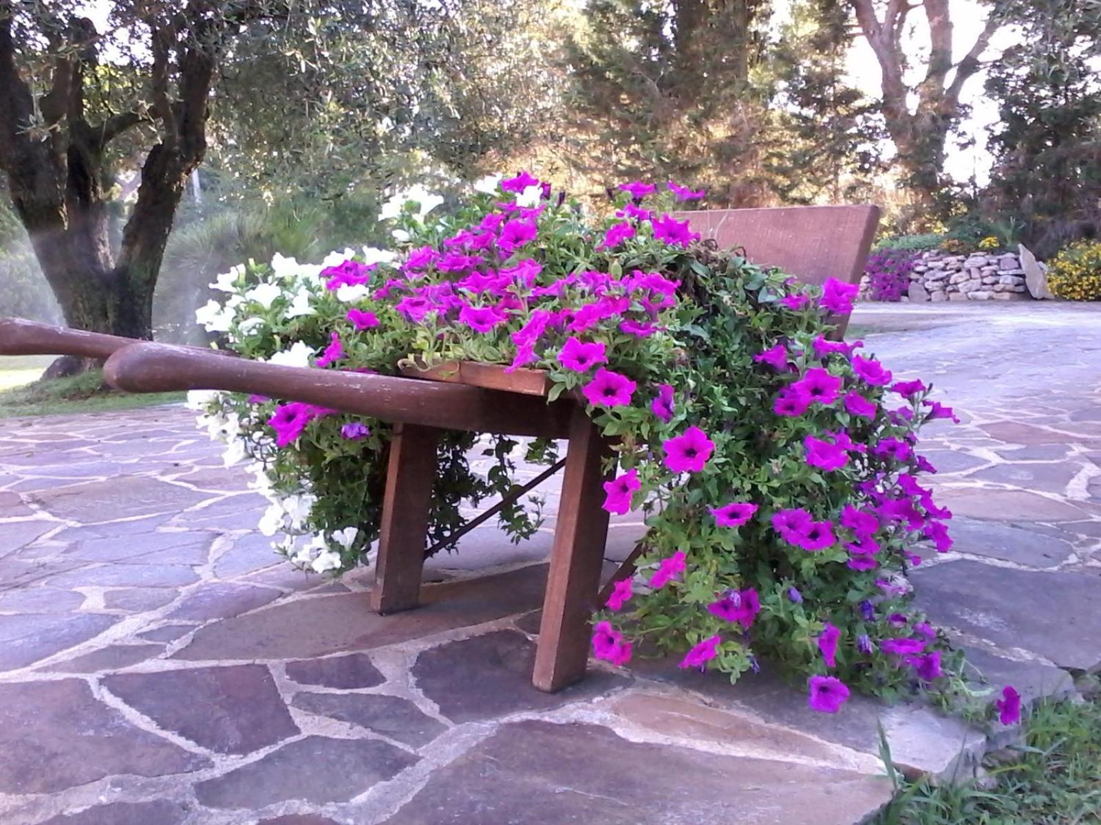 Nuraghe Bianco Bed & Breakfast Santa Maria la Palma Dış mekan fotoğraf