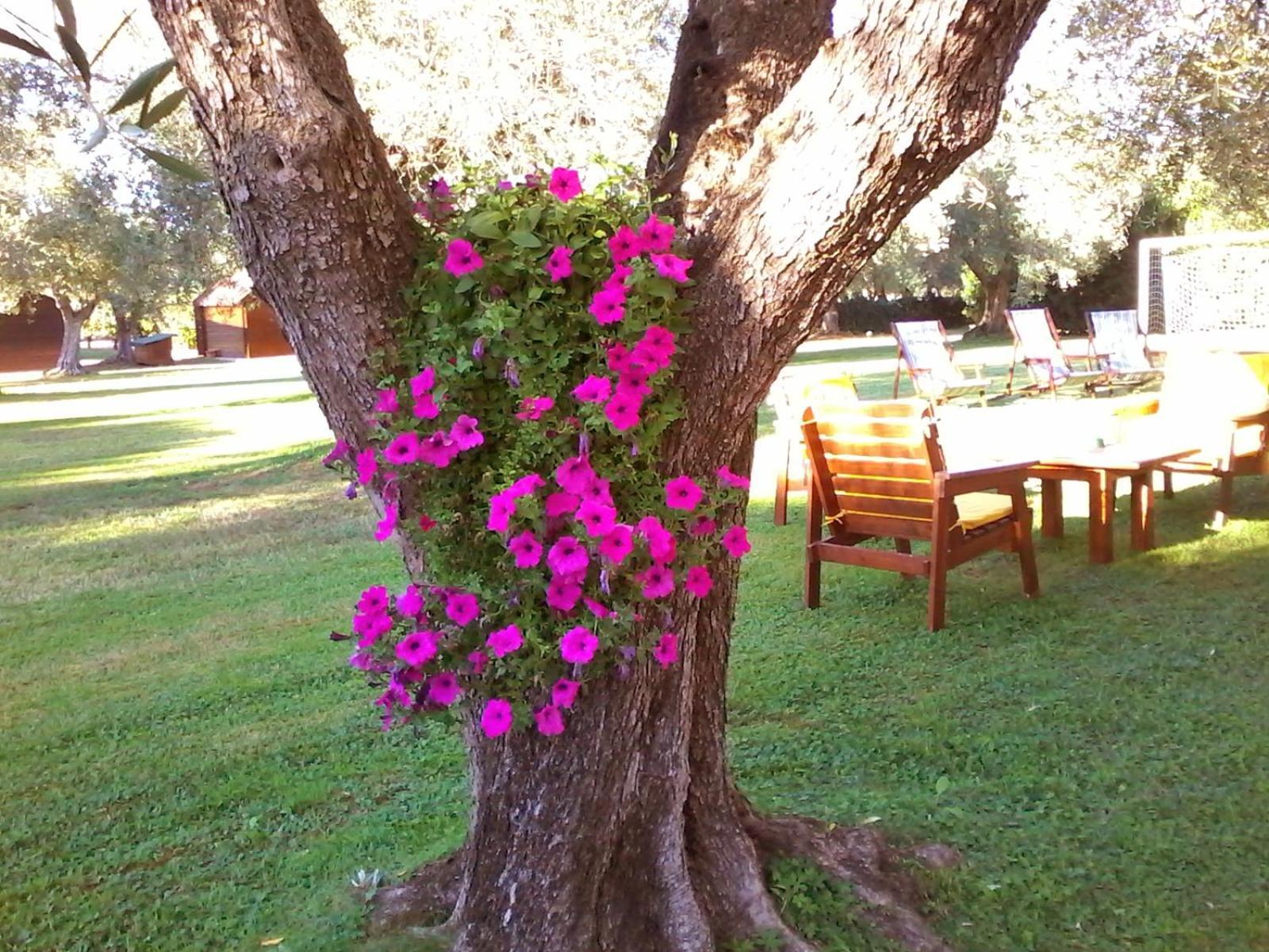 Nuraghe Bianco Bed & Breakfast Santa Maria la Palma Dış mekan fotoğraf
